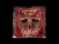 Lagu Valkyrja - Madness Redeemer