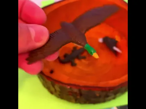 River Animals Showcase🦦 #PinoyKids #NatureToys
