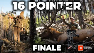16 POINTER - FINALE
