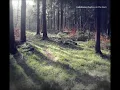 Hakobune - Secondhand Sunlight