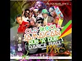 OLD SKOOL JAMAICA RUB A DUB DANCEHALL MIX CUTTY RANKS DIRTSMAN SHABBA RANKS PATRA SHAGGY BUSY SI