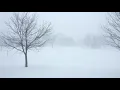 Lagu Winter Blizzard Free Snow Background Videos, Motion Graphics, No Copyright | All Background Videos