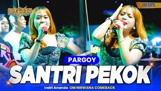 Download SANTRI PEKOK - Indri Ananda OM NIRWANA COMEBACK Live Demak Jawa Tengah MP3