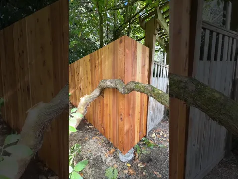 Outdoor Hemp Oil Wood Preservative! #hemp #sponsored #landscape #fencing @smart_biohemp