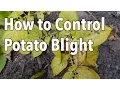 Blight 5 Ways to Control Potato Blight Late Blight