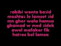 Tamer Hosni - 7abibi wenta Ba3id [Lyric]