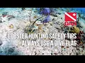 Always use a dive flag - DAN lobster mini season safety tip