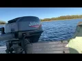 1999 Johnson 15hp outboard motor