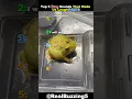 Top 5 Funniest Frog Sounds 🐸😂  Epic Frog Compilation PART 3