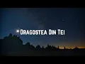 Download Lagu O-Zone - Dragostea Din Teis
