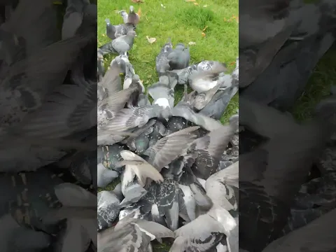 #صلوا_على_النبي