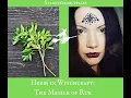 I can t Witch without Herbs in Witchcraft The Power of Rue Spell Ingredient