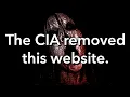 the ILLEGAL Websites Iceberg