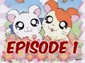 Download Lagu Hamtaro opération arc en ciel ~ Episode 1 ~ Une nouvelle aventure