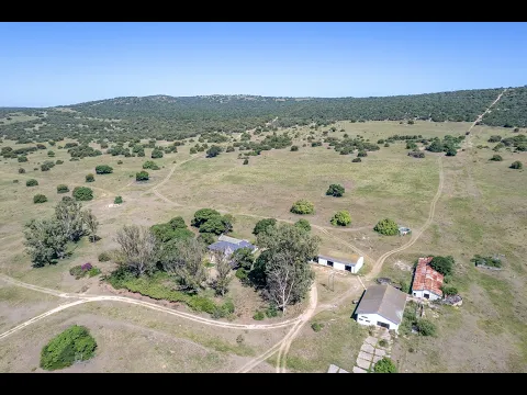 Download MP3 513 hectare game farm for sale in Alexandria | Pam Golding Properties