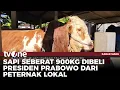 Download Lagu Melihat Sapi Kurban Milik Presiden Prabowo di Rembang dan Purbalingga | Kabar Siang tvOne