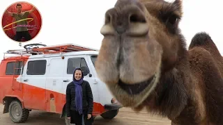 Kashan City Tour – Iran 2019