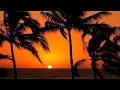 Aesthetic Vol 5 Amazing SUNSET Palm Tree Beaches