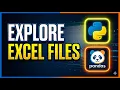 How to READ and EXPLORE an EXCEL FILE using Pandas Step by Step