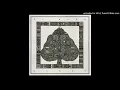 El Búho - Pez Dorado (feat. Chancha Via Circuito)