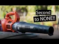 BEST LEAF BLOWER That I own Black Decker BEBL750 9 amp 140 mph 450 cfm blower