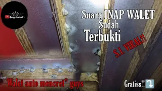 Download SUARA INAP WALET  VIRAL BIKIN WALET GAK MAU KELUAR  !!! MP3