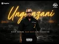 UNGENZANI ft Dlala Thukzin & BlaqSeed
