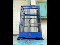 Lagu Cendet Tembakan Tengkek Buto Sambung Besetan!!