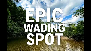 Echo Bluff State Park A Perfect Day of Wading Swimming Ozark Beauty