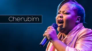 spirit of praise 3 ft zaza mokhethi cherubim gospel praise u0026 worship song