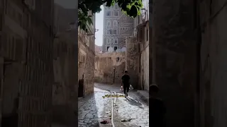 تضن انك نجوت وتهزمك اللهجه الصنعانيه 