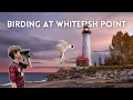 Birding in Michigan s Upper Peninsula