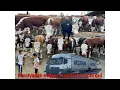 Download Lagu Rassiyadan smental grefort buqalar keldi. Abduraxmon va Ilxomjonlar qaynadi narxlar quladi.