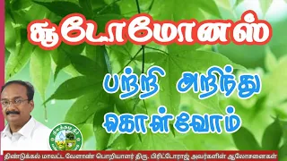 Download சூடோமோனஸ் பற்றி அறிந்து கொள்வோம் 🌳 Pseudomonas in Tamil 🌳 Brittoraj 9944450552 MP3