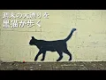 K／BUMP OF CHICKEN【歌詞付き】