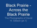 Black Prairie   Across the Black Prairie