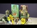 Virgo - The Daily s