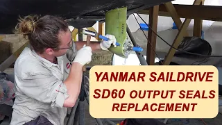 Yanmar SD60 Sail Drive: How to replace the SD60 output seals (DIY with no BS)