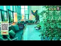 Hotel Parisi - Wait Until You See This | Turin, Italy🌟
