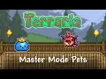 Terraria 1 4 All Master Mode Pets