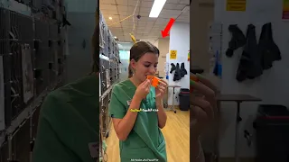 الضمادة التي يمقتها جميع الكلاب 