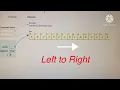 Cocktail Shaker Sort - Algorithm Implementation to Python