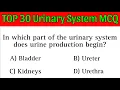 Urinary System Mcqs urinary system questions