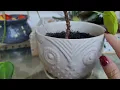 White Owl Ceramic Planter So pretty