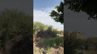 جلستنا على طريق الهدى الدائري بالطايف بانتظار خوياننا من مكه المكرمه وجده مع الشاعر ابوهاشم السيد 