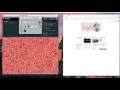 codepen example