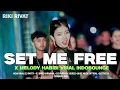 Download Lagu DJ VIRAL SET ME FREE 🔥 VIRAL MELODY DROP HABIBI (INVIZ REMIX) MELODY WISNU SHANTIKA