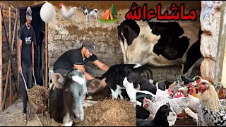 العمل في البادية مشيت السوق ديال الجمعة حودران شنو بغيت نشري هههه 