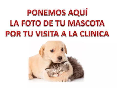 Download MP3 Clínica Veterinaria Huellas Vet Pet