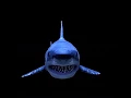 Download Lagu HoloVu Video - Shark